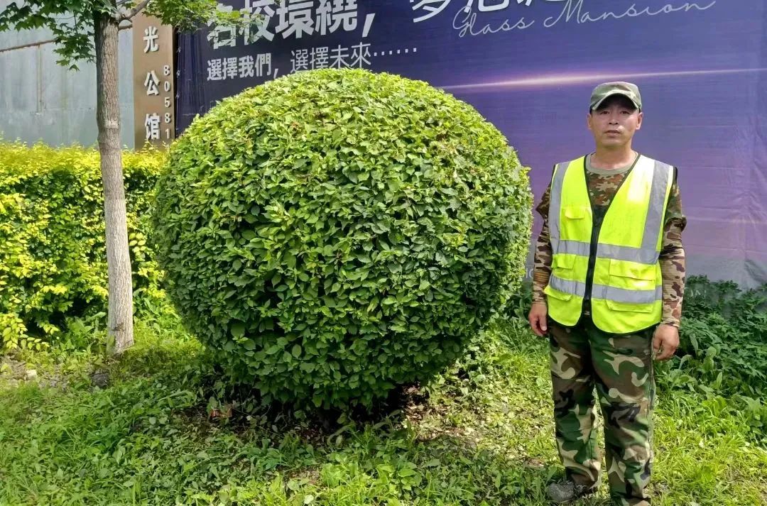 凯时|AG(AsiaGaming)优质运营商